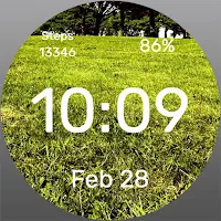 Green Lawn Watch Face