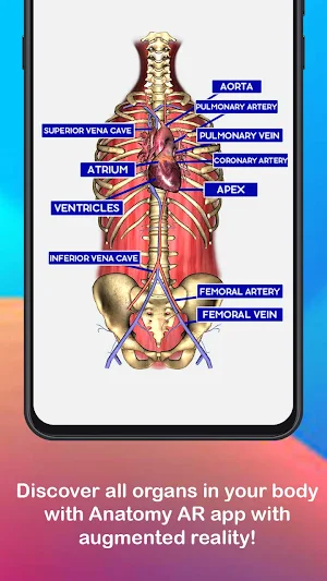 Anatomy AR 4D - Virtual T-Shirt Screenshot 2