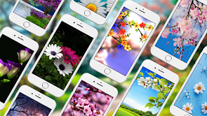 Spring Live Wallpapers Screenshot 0