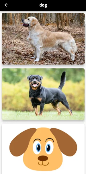 dog Screenshot 3