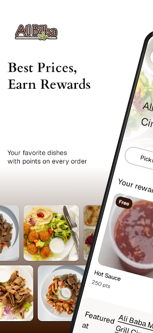 Ali Baba Mediterranean Grill Screenshot 0