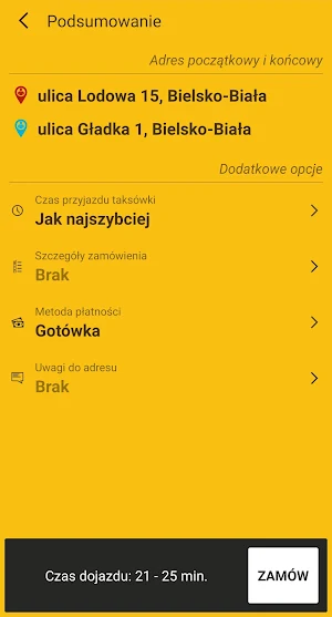 Black Taxi Screenshot 3