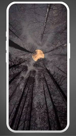 Nighttime Wallpapers Screenshot 2