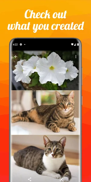 Image Merge Screenshot 3