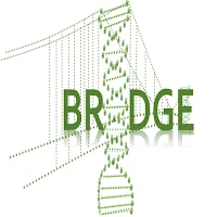GeneBridge