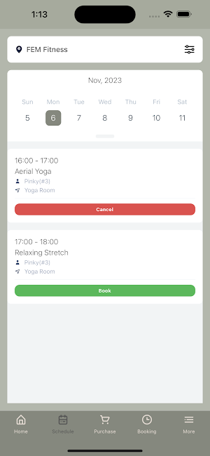 FEM Fitness Screenshot 2