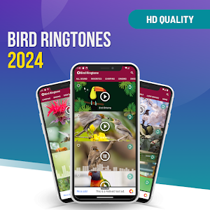 Bird Ringtones: Bird Sound Screenshot 1