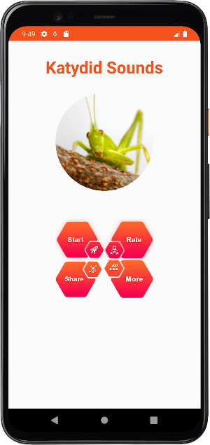 Katydid Sounds Screenshot 1
