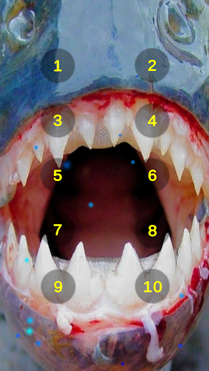 Piranha Teeth Chatter Sounds Screenshot 1