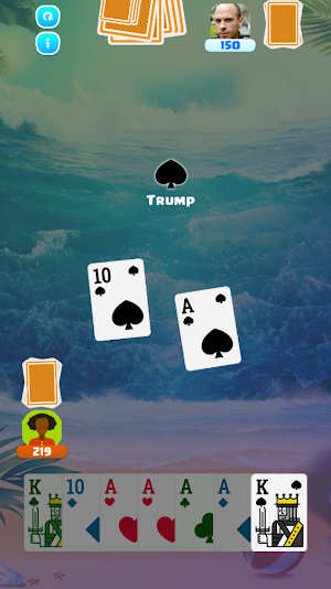 Pinochle Card Game 2-Players Screenshot 1