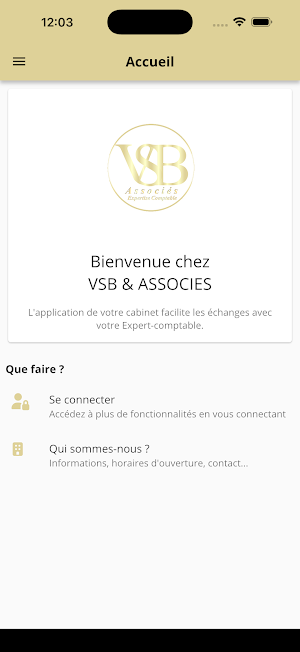 VSB & ASSOCIES Screenshot 0