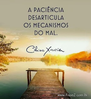 Frases do Chico Xavier Screenshot 3