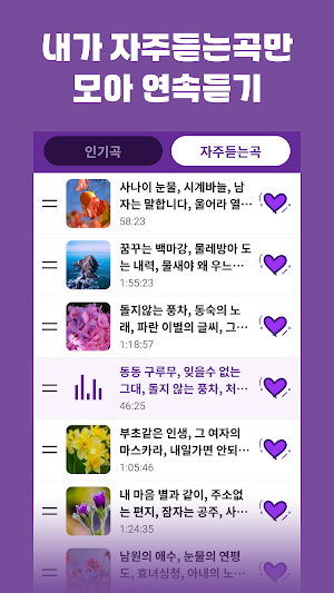 옛노래 경음악 - 전자올겐 아코디언 지루박 블루스 Screenshot 1