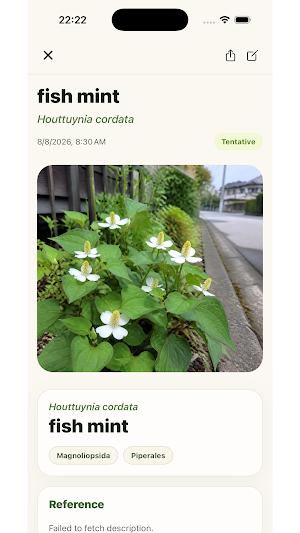 Piko - Nature AI Field Guide Screenshot 2
