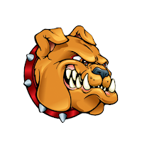 Digital Guard Dawg