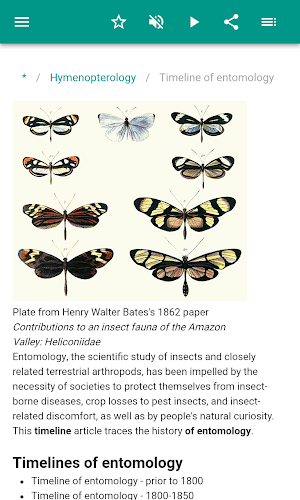 Entomology Screenshot 2