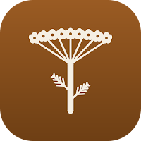 Yarrow: Offline Herbal Guide