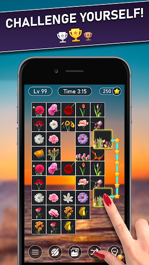 PairScapes: Pair Matching Game Screenshot 2