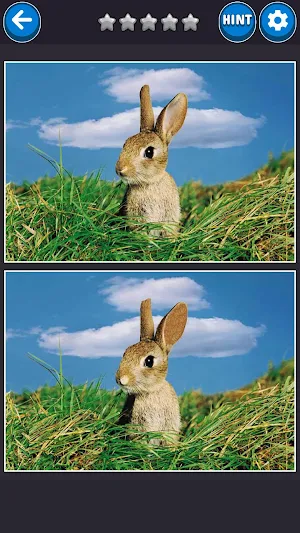 Find the difference Screenshot 0
