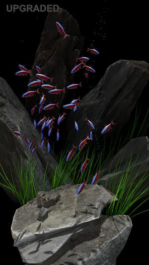 NANO AQUARIUM Free Screenshot 3