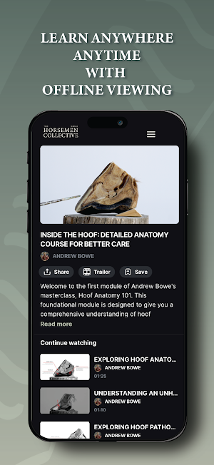 The Horsemen Collective Screenshot 1