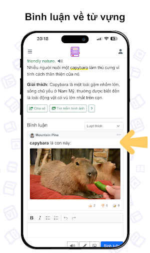 Từ điển Anh Việt ENVI Screenshot 2