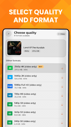Media Saver: Video Download Screenshot 2