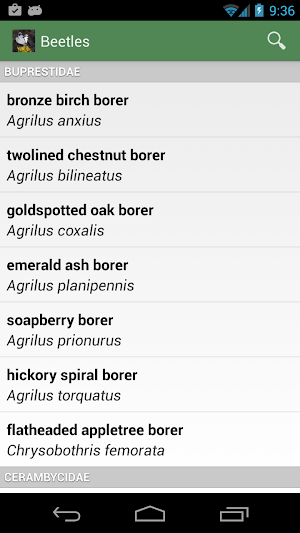 Forest Insect Pests Screenshot 1