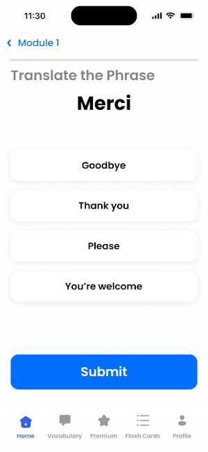 LetzLearn Screenshot 2