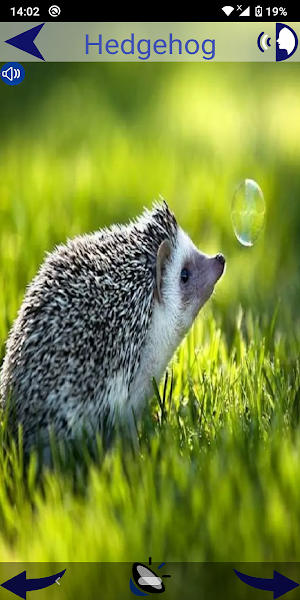Animal Sounds Screenshot 1