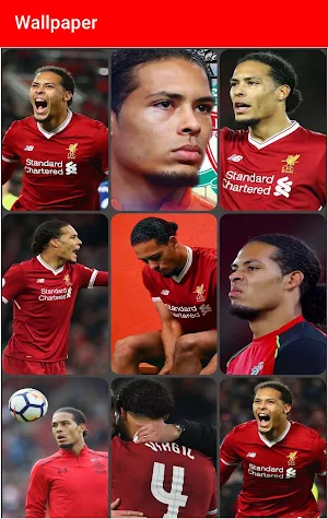 Virgil van Dijk Wallpapers,puzzle Screenshot 0