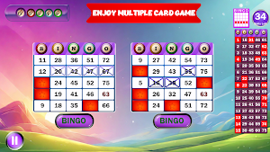 Bingo Boom Treasure Screenshot 0
