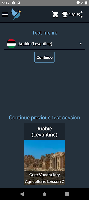 Levantine Arabic Tests Screenshot 0