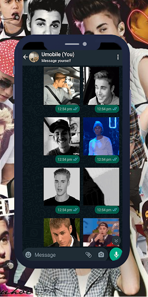 Justin Bieber GIF WASticker Screenshot 2