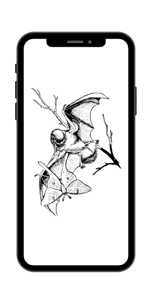 Kelelawar Wallpaper24 Screenshot 2