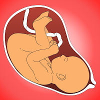 Pregnancy Tracker & Calculator
