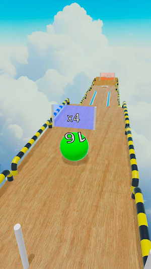 Ball Race Screenshot 1
