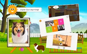 Find Them All: Cat, Dog & Pet Screenshot 3