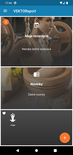VEKTORsport Screenshot 1