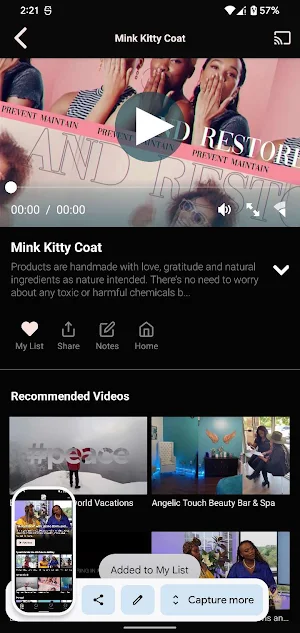 Kingdom Boss Lady Network TV Screenshot 1