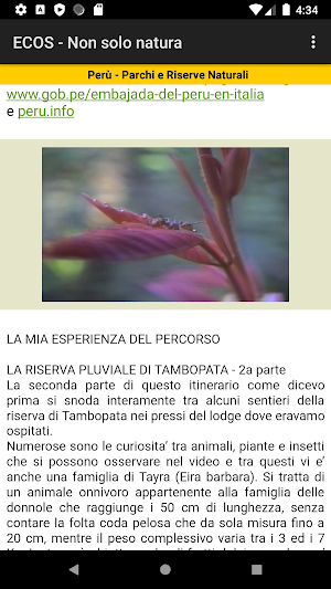 Tambopata Rainforest - Parte 2 Screenshot 2