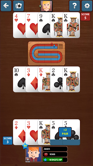 Cribbage Star Screenshot 2