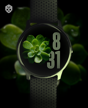Liquid Glass Watch Face Screenshot 1