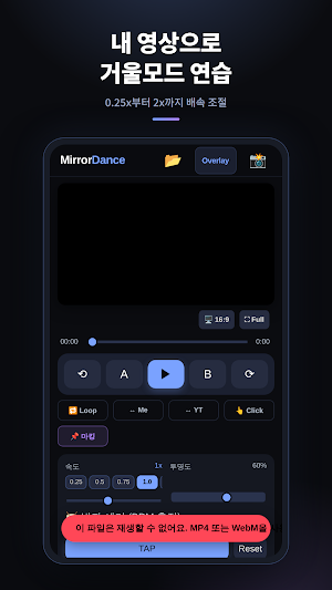 MirrorDanceCore: KpopDance Screenshot 1