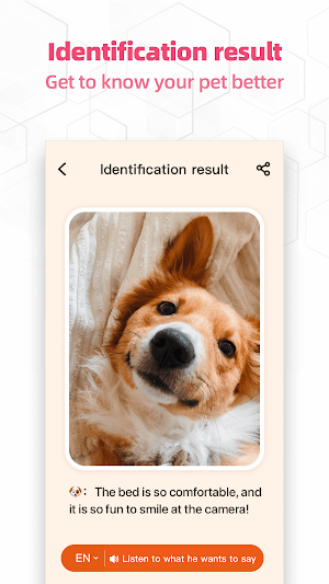 PictoPop - AI Photo Enhancer Screenshot 1