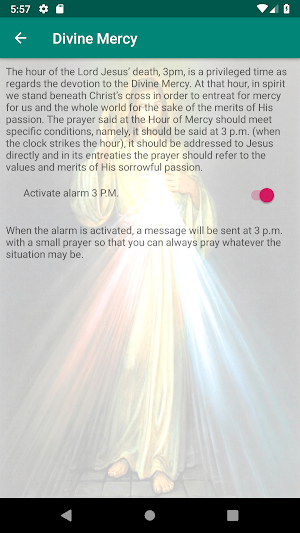Divine Mercy Screenshot 1