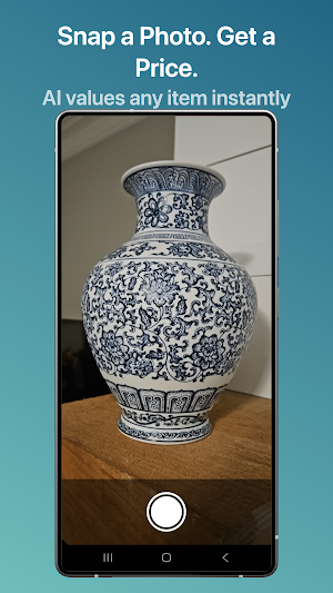 WhatsWorth - AI Appraiser Screenshot 2