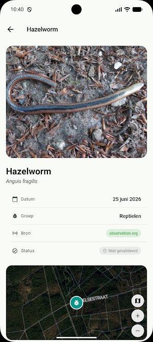 Soortenspotter Screenshot 2
