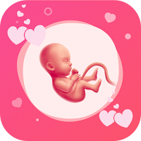 Pregnancy Due Date Tracker