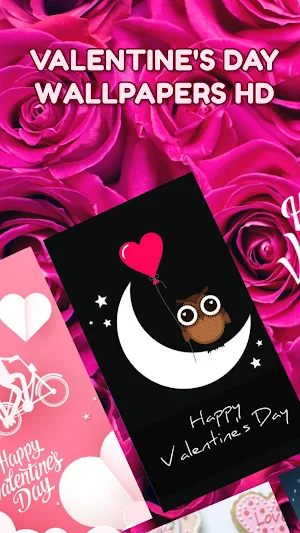 Valentine’s Day Wallpapers HD Screenshot 0